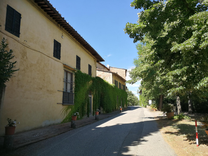 Fattoria I Sassoli — foto 5