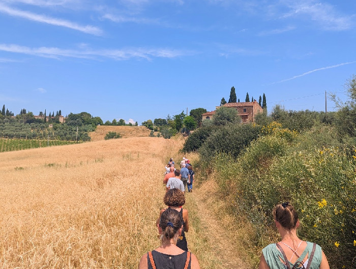 Fattoria I Sassoli — foto 6